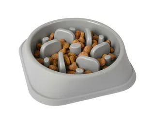 Mangeoire Anti-stress Pour Chien Baba 1 by Flamingo – product photo 2 of 3