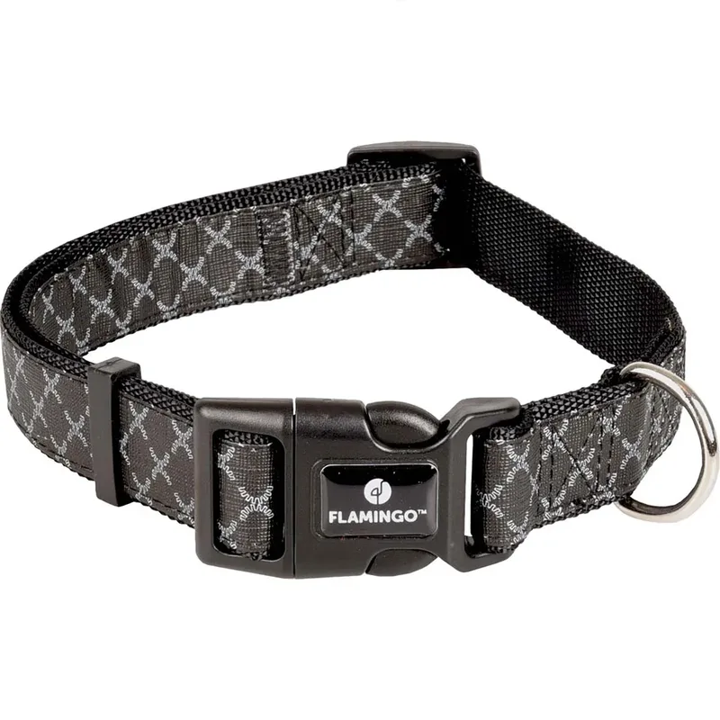 Odin Hondenhalsband van Flamingo – productfoto
