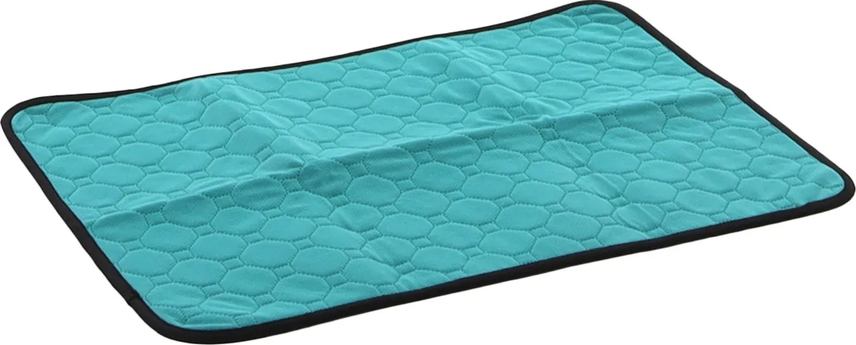 Patsy - Trainingsmat Honden - Wasbare Trainingsmat Patsy S Antislip 54x38cm - 1st - 134277 - 1st van Flamingo in Groen – productfoto