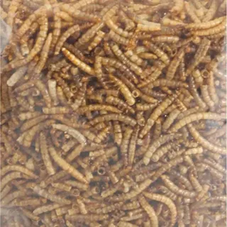 Picknic Mealworms Vogelvoer 540g de Flamingo – photo produit 1 sur 2
