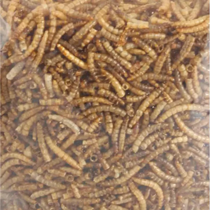 Picknic Mealworms Vogelvoer 540g de Flamingo – photo produit 1 sur 2