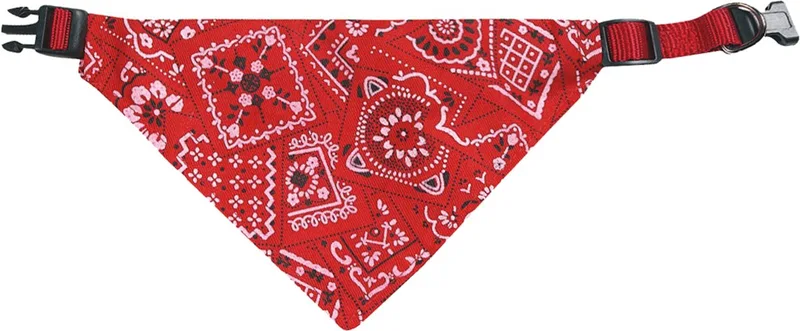 Pinto - Halsband Met Bandana Honden - Halsband Met Bandana Pinto Xs 22-35cm - 1st - 117992 - 1st fra Flamingo i Rød – produktbillede