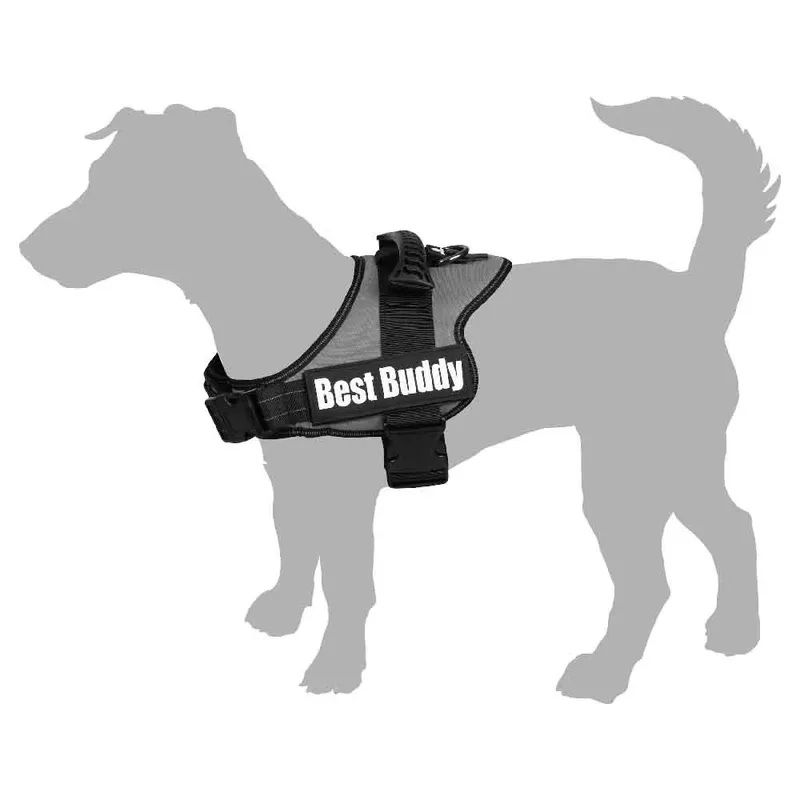 Pluto Liberty - Harnas Honden - Harnas Best Buddy Pluto Grid Xl 80-100cm 50mm - 1st - 122609 - 1st von Flamingo in Schwarz – Produktfoto 2 von 3