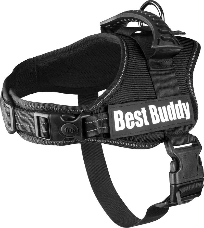 Pluto Liberty - Harnas Honden - Harnas Best Buddy Pluto M 60-80cm 38mm - 1st - 122589 - 1st by Flamingo in Black – product photo
