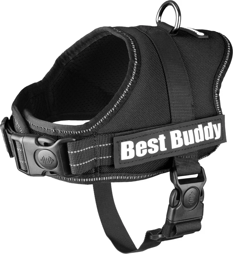 Pluto Liberty - Harnas Honden - Harnas Best Buddy Pluto S 50-70cm 25mm - 1st - 122576 - 1st von Flamingo in Schwarz – Produktfoto