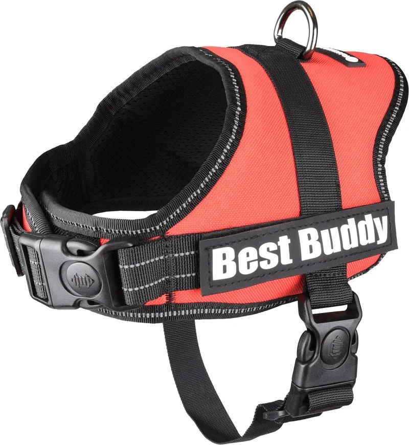 Pluto Liberty - Harnas Honden - Harnas Best Buddy Pluto S 50-70cm 25mm - 1st - 122482 - 1st by Flamingo in Red – product photo