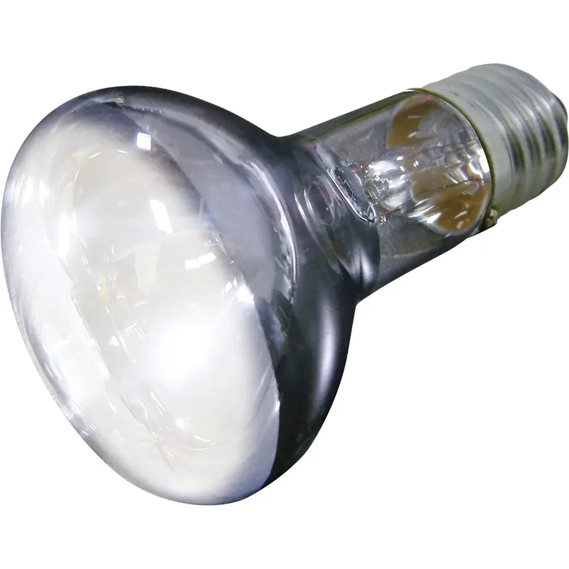 Repti Basking Sun Lampe 75w de Flamingo – photo produit