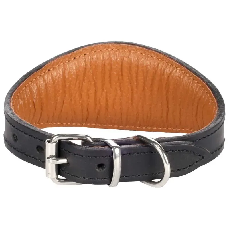 Rondo Greyhound Hondenhalsband by Flamingo – product photo