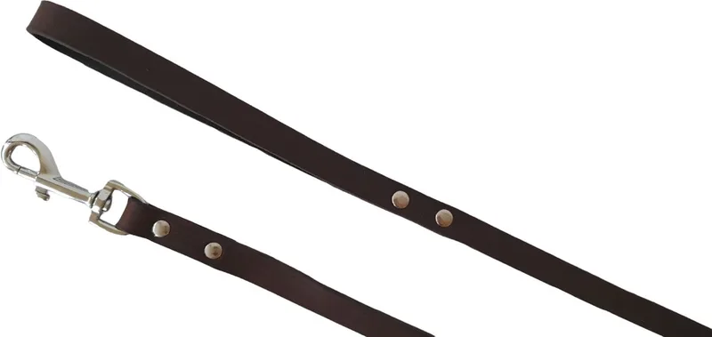 Rondo Hondenriem / Hondenlijn - Buffelleer - Donkerbruin - Breedte 16 mm - Lengte 100 cm von Flamingo in Braun – Produktfoto