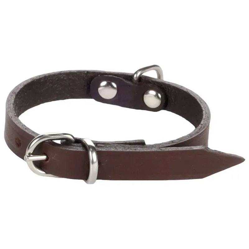 Rondo Riveted Hondenhalsband van Flamingo – productfoto