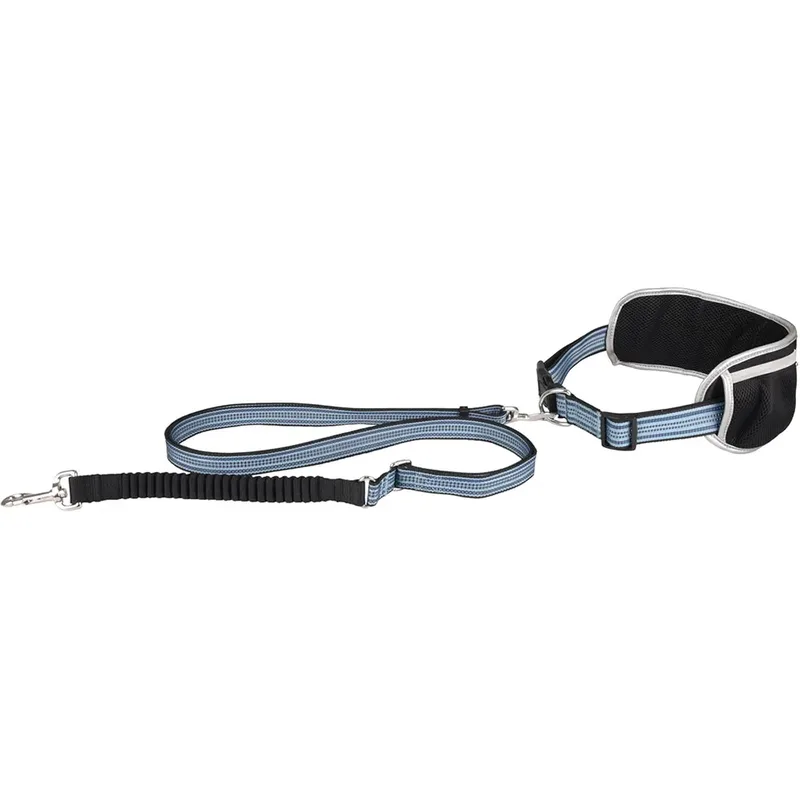 Rono Hondenriem by Flamingo – product photo