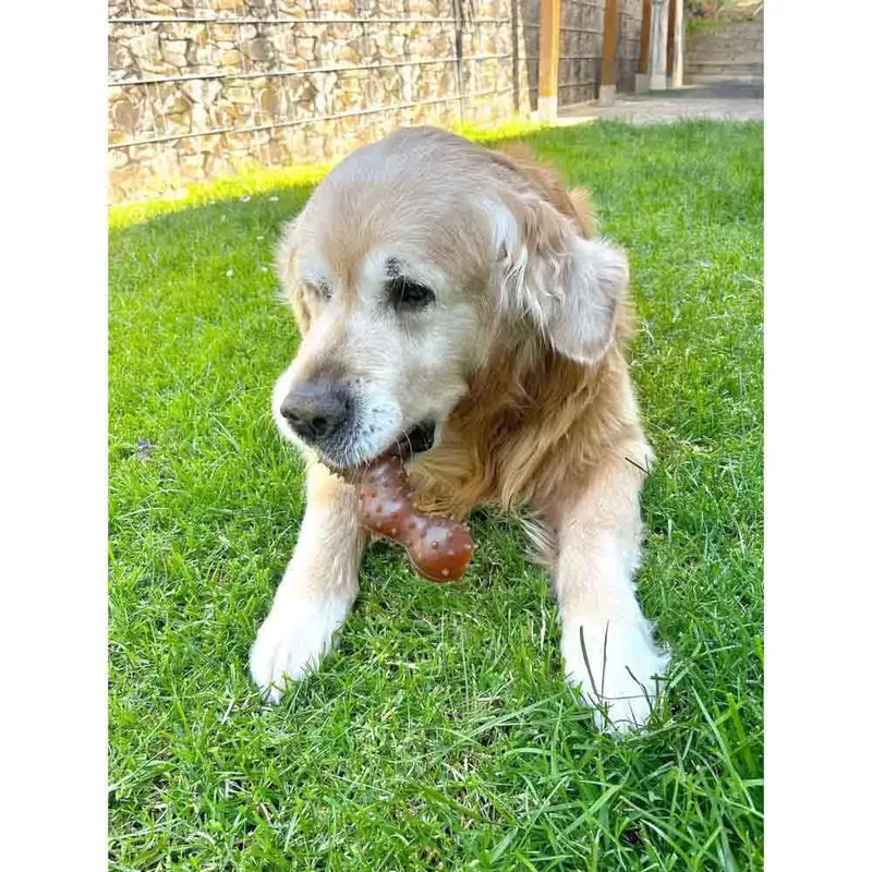 Rubba - Speelgoed Honden - Hs Rubber Rubba Slang Met Stekels 19,5x6,5x5,5cm - 1st - 138053 - 1st fra Flamingo i Brun – produktbillede 4 af 5