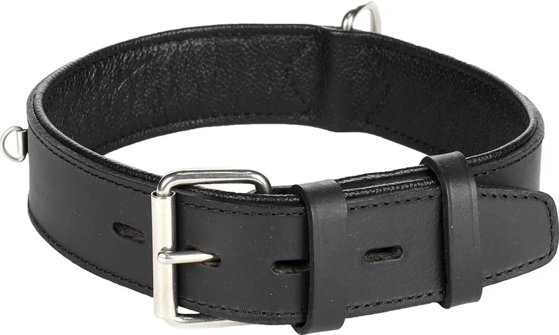 Seattle Gevoerd;breed - Halsband Honden - Halsband Seattle L 49-58cm 40mm - 1st - 124277 - 1st fra Flamingo i Sort – produktbillede