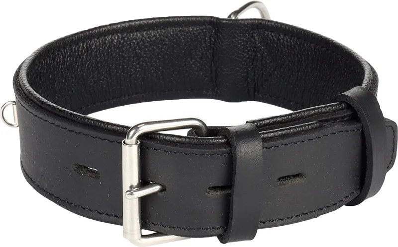 Seattle Gevoerd;breed - Halsband Honden - Halsband Seattle M/l 44-54cm 40mm - 1st - 124280 - 1st von Flamingo in Schwarz – Produktfoto