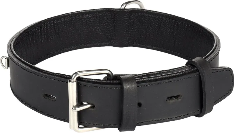 Seattle Gevoerd;breed - Halsband Honden - Halsband Seattle Xl 52-64cm 40mm - 1st - 124400 - 1st de Flamingo en Noir – photo produit