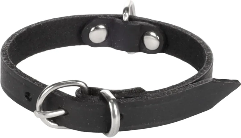 Seattle Gewoon - Halsband Honden - Halsband Seattle Xs 18-21cm 10mm - 1st - 123951 - 1st von Flamingo in Schwarz – Produktfoto