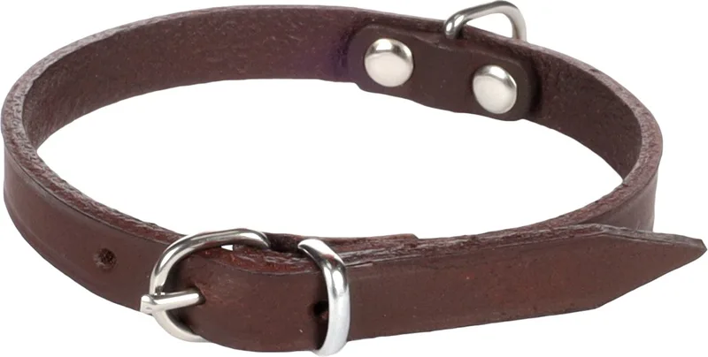 Seattle Gewoon - Halsband Honden - Halsband Seattle Xs/s 23-26cm 10mm - 1st - 123942 - 1st by Flamingo in Brown – product photo
