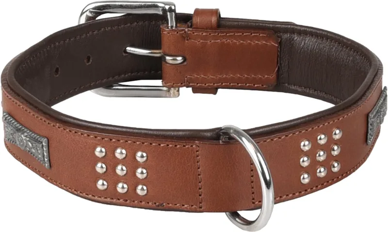 Sedona Gevoerd;gevuld - Halsband Honden - Halsband Sedona Leder+fitting L 43-50cm 37mm - 1st - 128565 - 1st by Flamingo in Brown – product photo