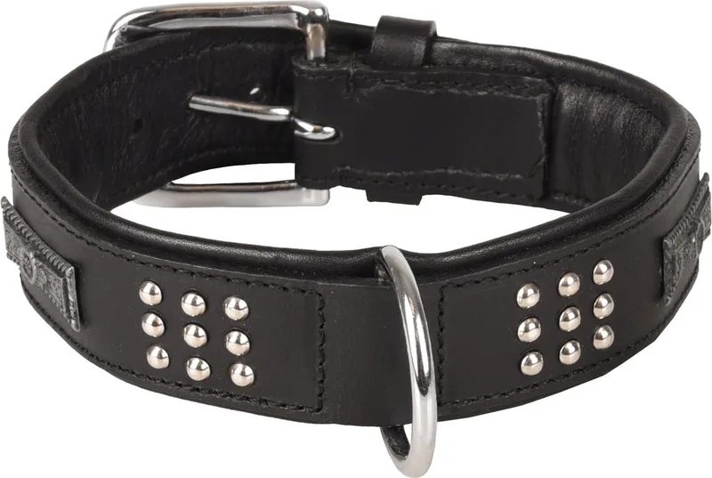 Sedona Gevoerd;gevuld - Halsband Honden - Halsband Sedona Leder+fitting M 34-40cm 37mm - 1st - 128596 - 1st van Flamingo in Zwart – productfoto