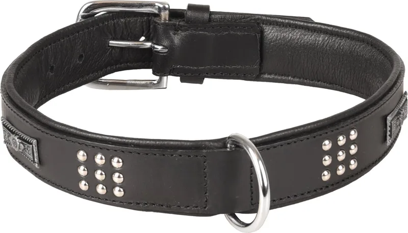 Sedona Gevoerd;gevuld - Halsband Honden - Halsband Sedona Leder+fitting Xxl 51-60cm 37mm - 1st - 128581 - 1st by Flamingo in Black – product photo