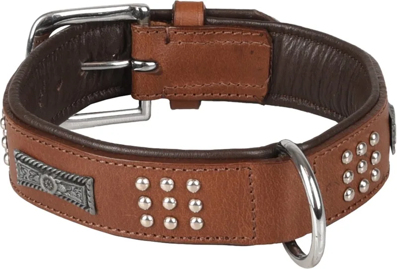 Sedona Gevoerd;gevuld - Halsband Honden - Halsband Sedona Leder+fitting M 34-40cm 37mm - 1st - 128577 - 1st de Flamingo en Marron – photo produit