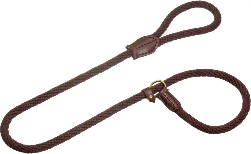 Sliplijn Ranger Bruin - Bruin - 165 cm x 15 mm by Flamingo in Brown – product photo