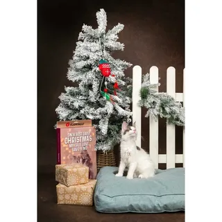 Snack Katten - Kerst Kalender Chick’n Snack Kat 24stuks - 24st - 137353 - 24st von Flamingo – Produktfoto 3 von 4