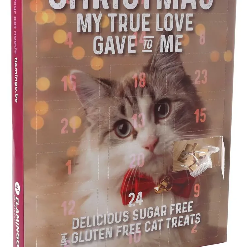 Snack Katten - Kerst Kalender Chick’n Snack Kat 24stuks - 24st - 137353 - 24st von Flamingo – Produktfoto 2 von 4