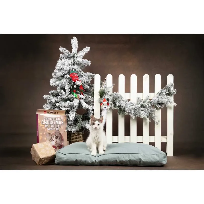 Snack Katten - Kerst Kalender Chick’n Snack Kat 24stuks - 24st - 137353 - 24st von Flamingo – Produktfoto 4 von 4