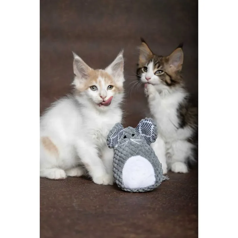 Speelgoed Mazzo Muis Grijs - Kattenspeelgoed - 1st by Flamingo – product photo 2 of 4