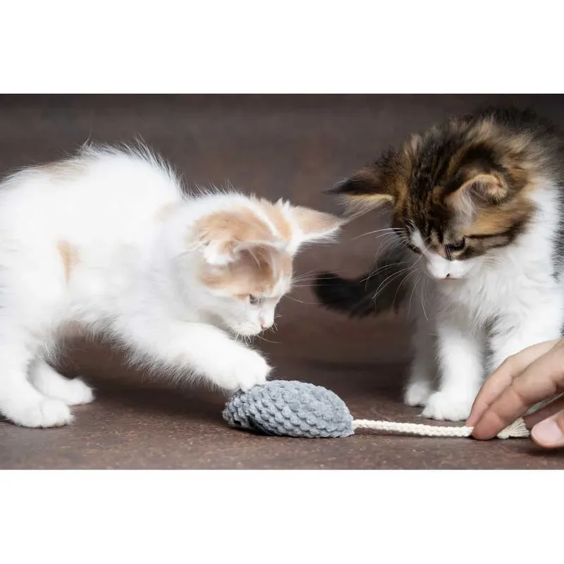 Jouet Pour Chat Mozza de Flamingo – photo produit 3 sur 5