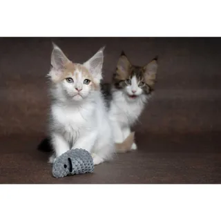 Jouet Pour Chat Mozza de Flamingo – photo produit 2 sur 5