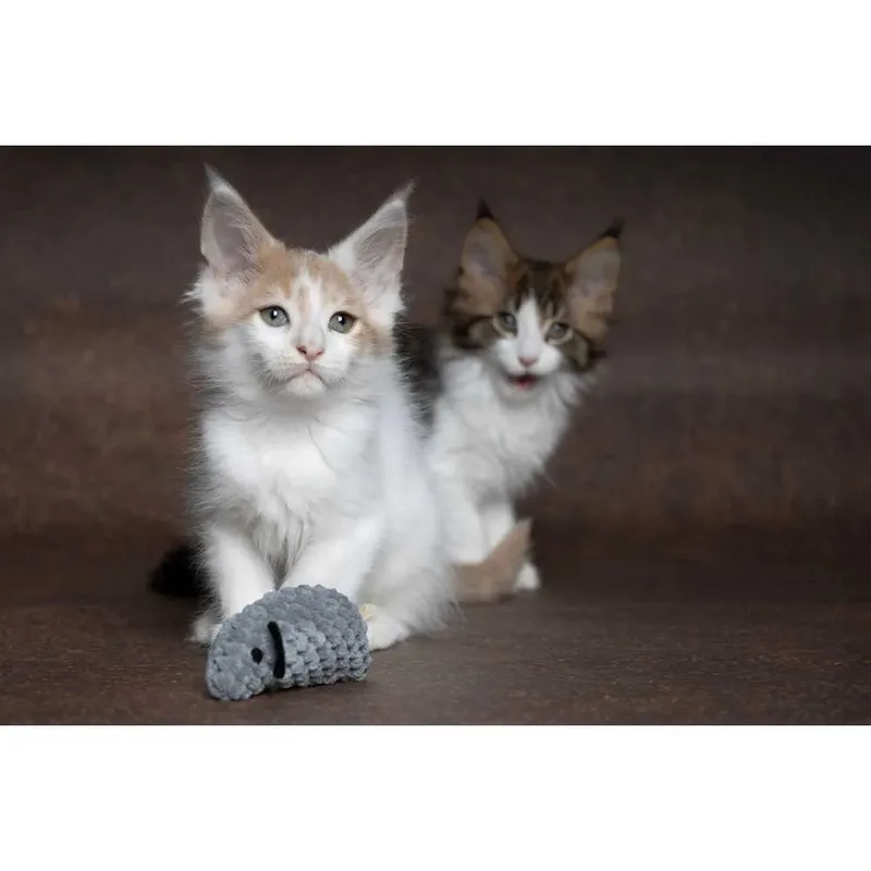 Jouet Pour Chat Mozza de Flamingo – photo produit 2 sur 5