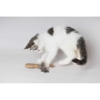 Speelgoed Yutsa Bal & Vis Bruin - Kattenspeelgoed - 1st von Flamingo – Produktfoto 2 von 5