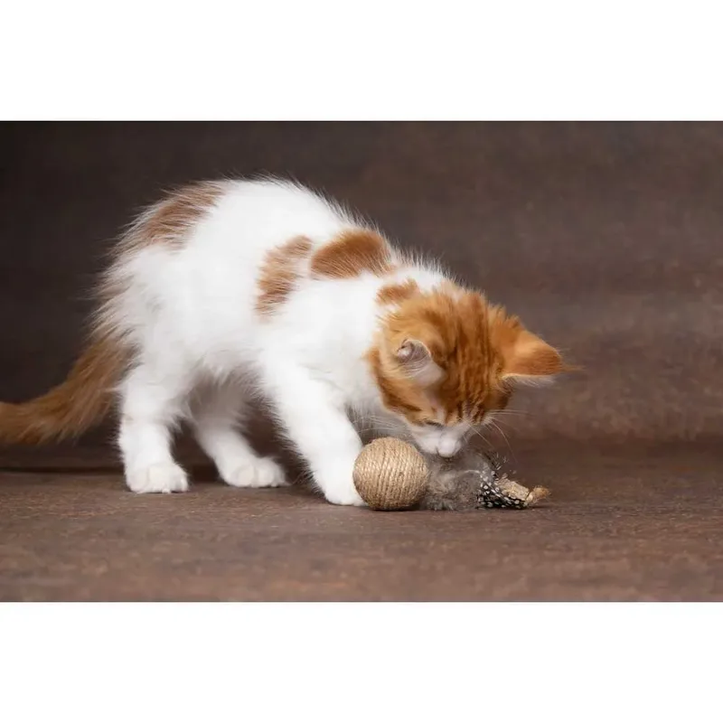 Speelgoed Yutsa Bal & Vis Bruin - Kattenspeelgoed - 1st von Flamingo – Produktfoto 3 von 5