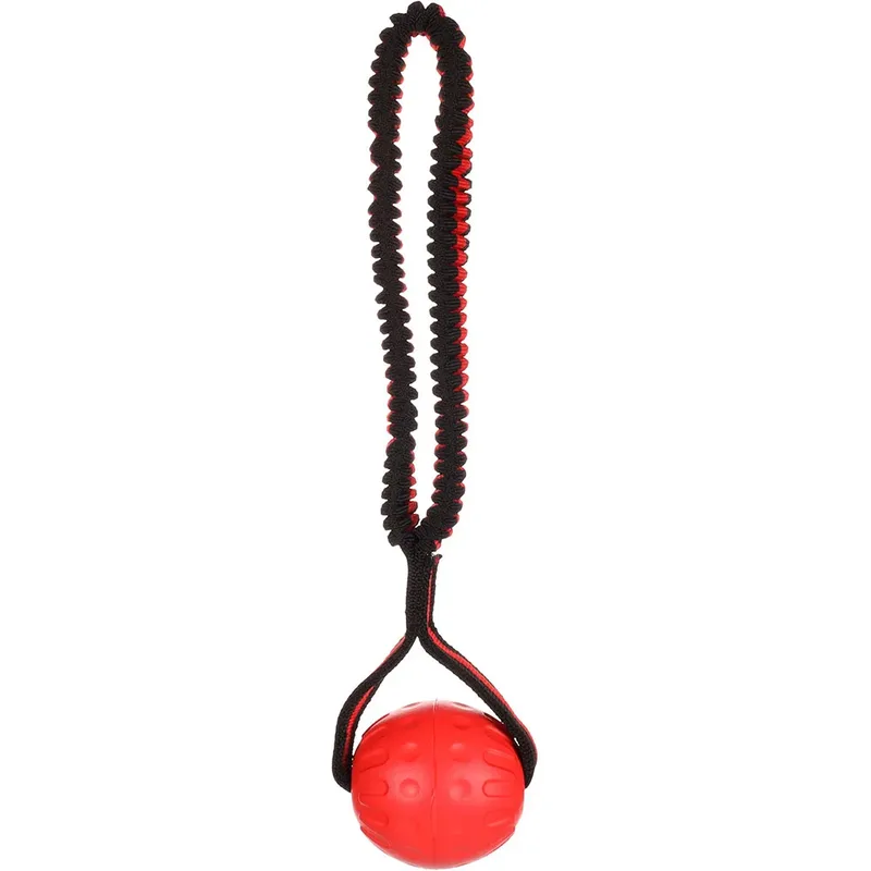 Strekta Ball Tpr Hondenspeeltje van Flamingo – productfoto