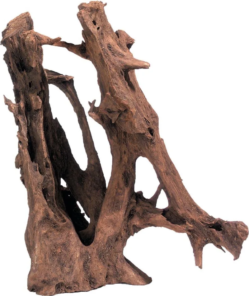 Terrarium Mangrove Wortel puur Hout - 48 x 28 x 20 cm fra Flamingo i Brun – produktbillede