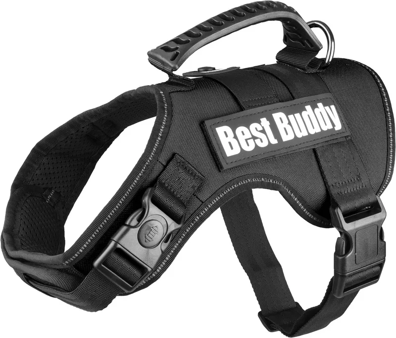 Uranus - Harnas Honden - Harnas Best Buddy Uranus M 60-80cm 38mm - 1st - 122778 - 1st by Flamingo in Black – product photo