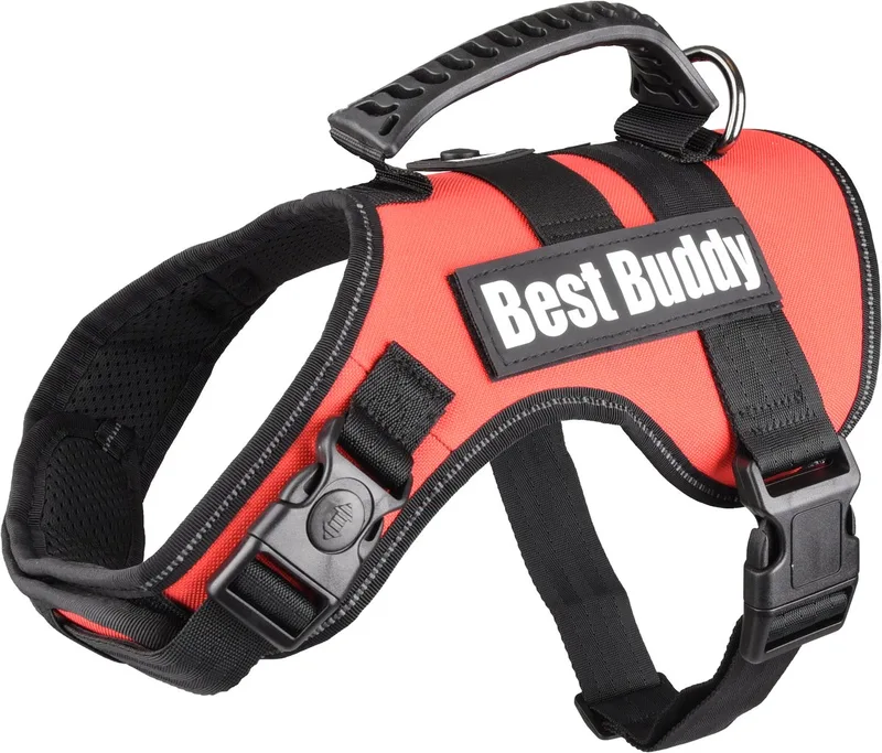 Uranus - Harnas Honden - Harnas Best Buddy Uranus M 60-80cm 38mm - 1st - 122705 - 1st by Flamingo in Red – product photo