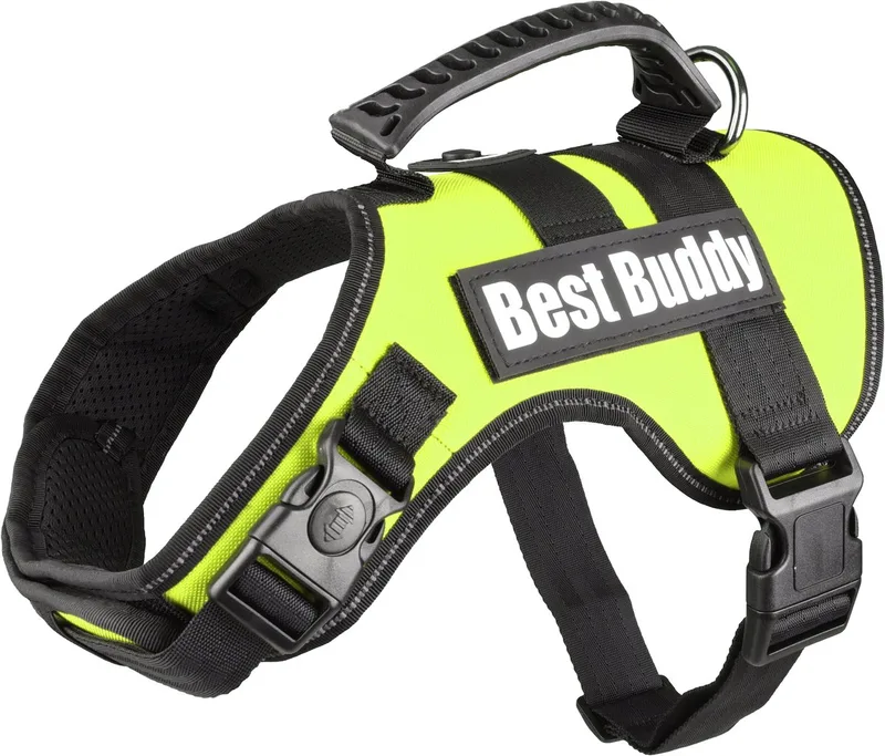 Uranus - Harnas Honden - Harnas Best Buddy Uranus Neon M 60-80cm 38mm - 1st - 122747 - 1st by Flamingo in Green – product photo