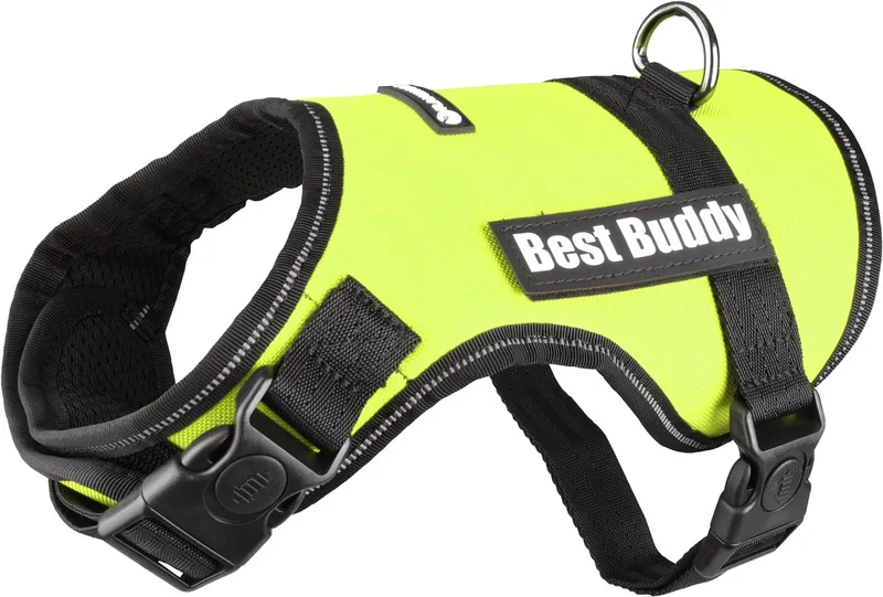 Uranus - Harnas Honden - Harnas Best Buddy Uranus Neon S 50-70cm 25mm - 1st - 122757 - 1st by Flamingo in Green – product photo