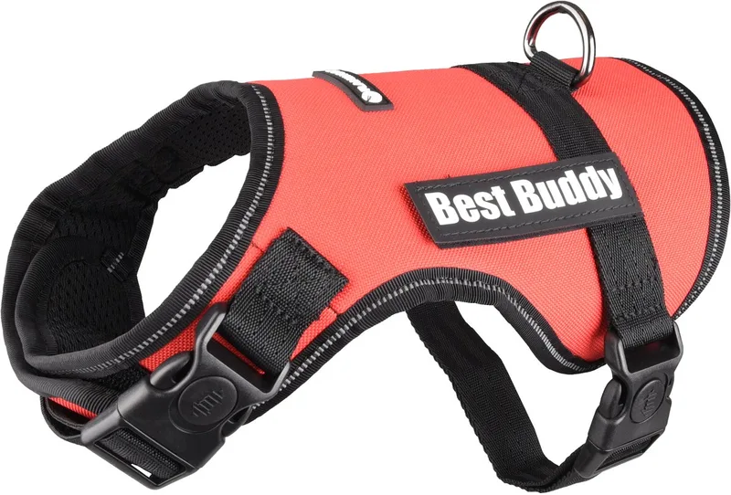 Uranus - Harnas Honden - Harnas Best Buddy Uranus S 50-70cm 25mm - 1st - 122738 - 1st de Flamingo en Rouge – photo produit