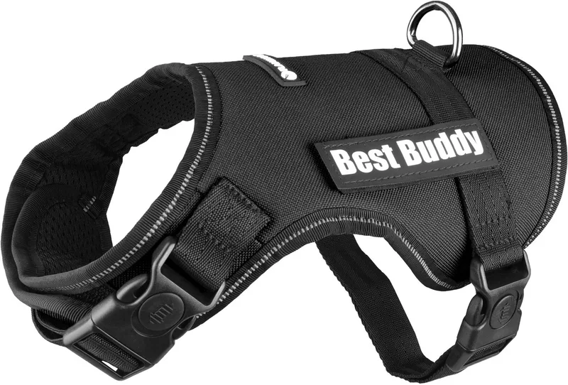 Uranus - Harnas Honden - Harnas Best Buddy Uranus S 50-70cm 25mm - 1st - 122774 - 1st fra Flamingo i Sort – produktbillede