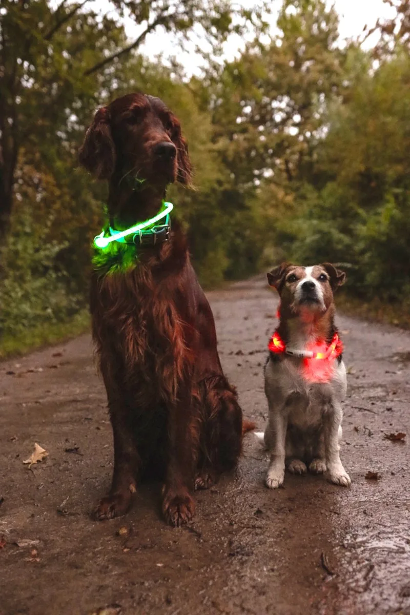 Visio Leora - Halsband Honden - Halsband Led leora 33-63,5cm 8mm - 1st - 127009 - 1st by Flamingo in Green – product photo