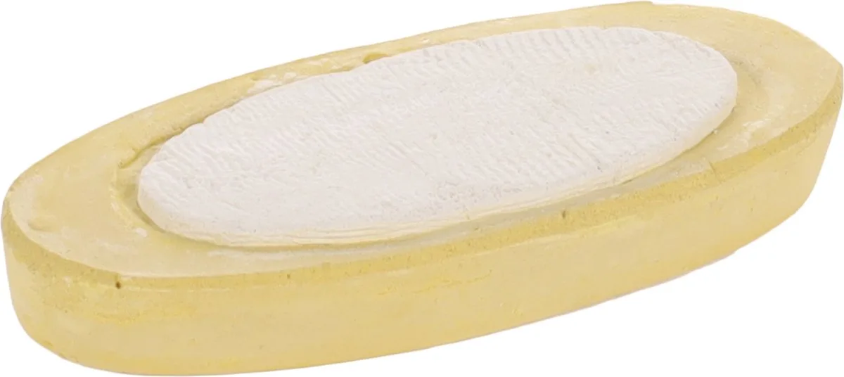 Vogelaccessoire Sepia Schelp Geel - 5.5 x 2 x 12 cm von Flamingo – Produktfoto