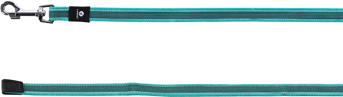 Xeno - Trainings- En Zoeklijn Honden - Trainings- En Zoeklijn Xeno Turquoise 15m 20mm - 1st - 136112 - 1st de Flamingo en Bleu – photo produit