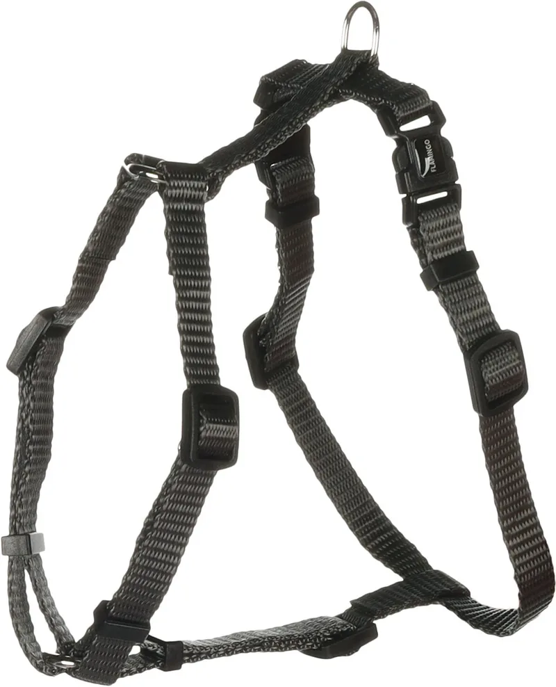 Ziggi H-harnas - Harnas Honden - H-harnas Ziggi Donkergrijs Xs 25-40cm 10mm - 1st - 138094 - 1st von Flamingo in Grau – Produktfoto
