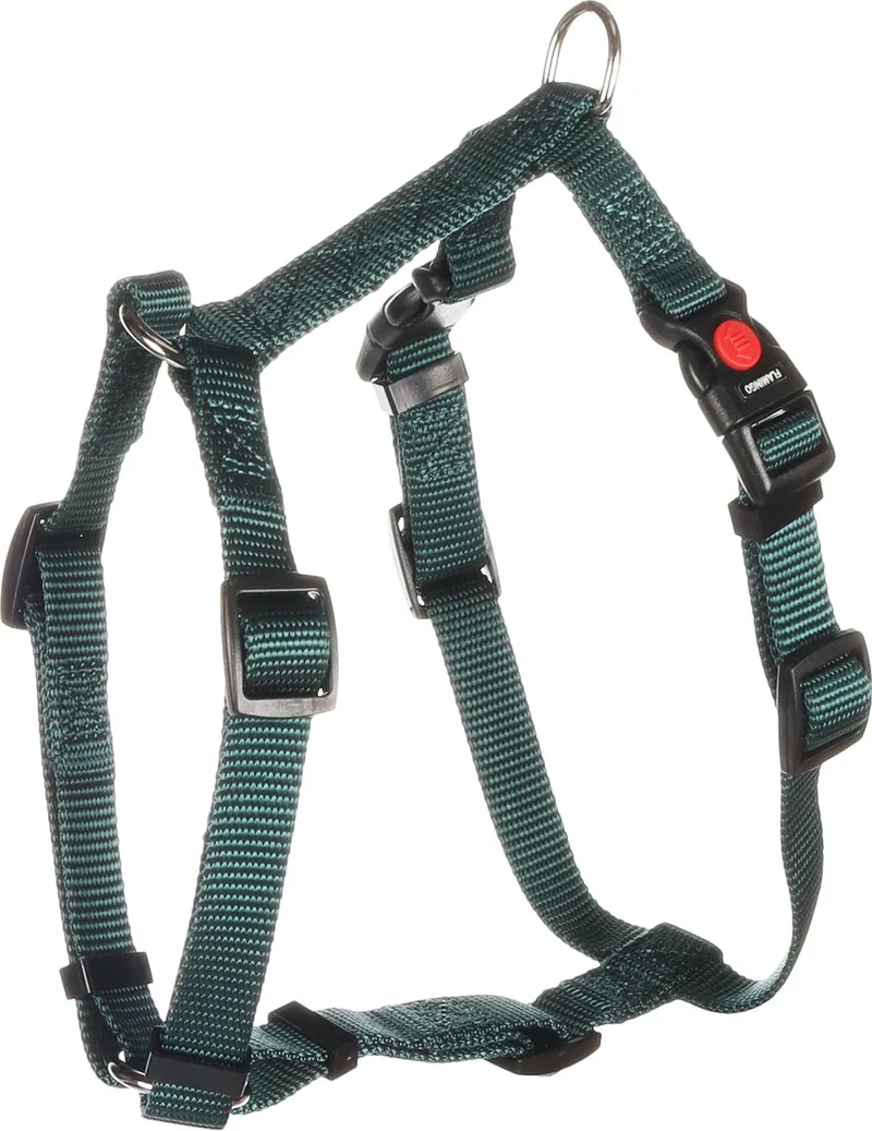 Ziggi H-harnas - Harnas Honden - H-harnas Ziggi Donkergroen S 35-50cm 15mm - 1st - 138142 - 1st fra Flamingo i Grøn – produktbillede