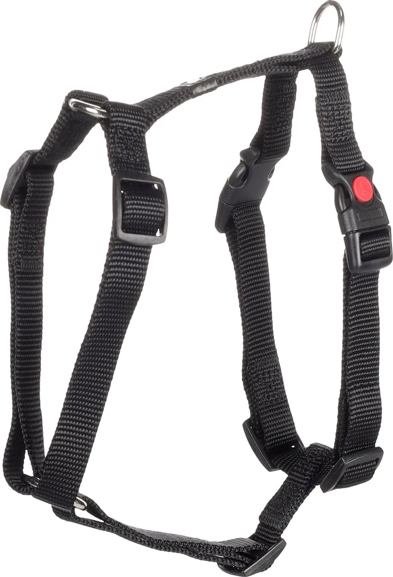 Ziggi H-harnas - Harnas Honden - H-harnas Ziggi S 35-50cm 15mm - 1st - 126111 - 1st by Flamingo in Black – product photo