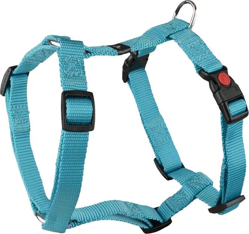 Ziggi H-harnas - Harnas Honden - H-harnas Ziggi Turquoise S 35-50cm 15mm - 1st - 127562 - 1st by Flamingo in Blue – product photo